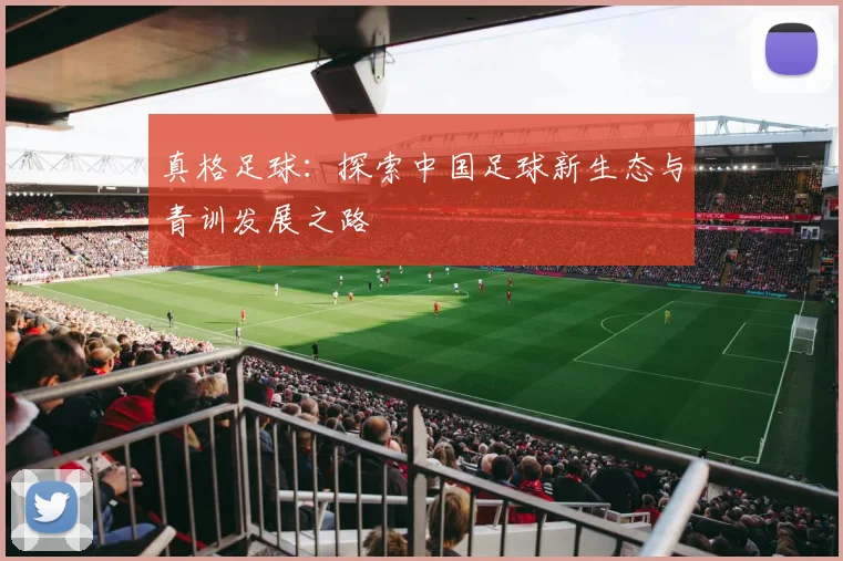 真格足球：探索中国足球新生态与青训发展之路