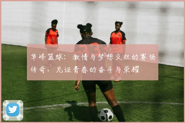 华峰篮球：激情与梦想交织的赛场传奇，见证青春的奋斗与荣耀