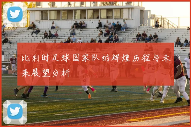 比利时足球国家队的辉煌历程与未来展望分析