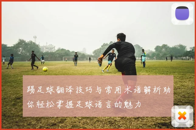 踢足球翻译技巧与常用术语解析助你轻松掌握足球语言的魅力