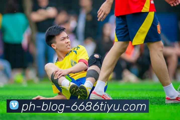 6686 SPORTS服务体系